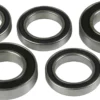 Hope Pro 2 Evo Bearing Kit