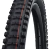 Schwalbe Big Betty Evo Super Trail MTB Reifen