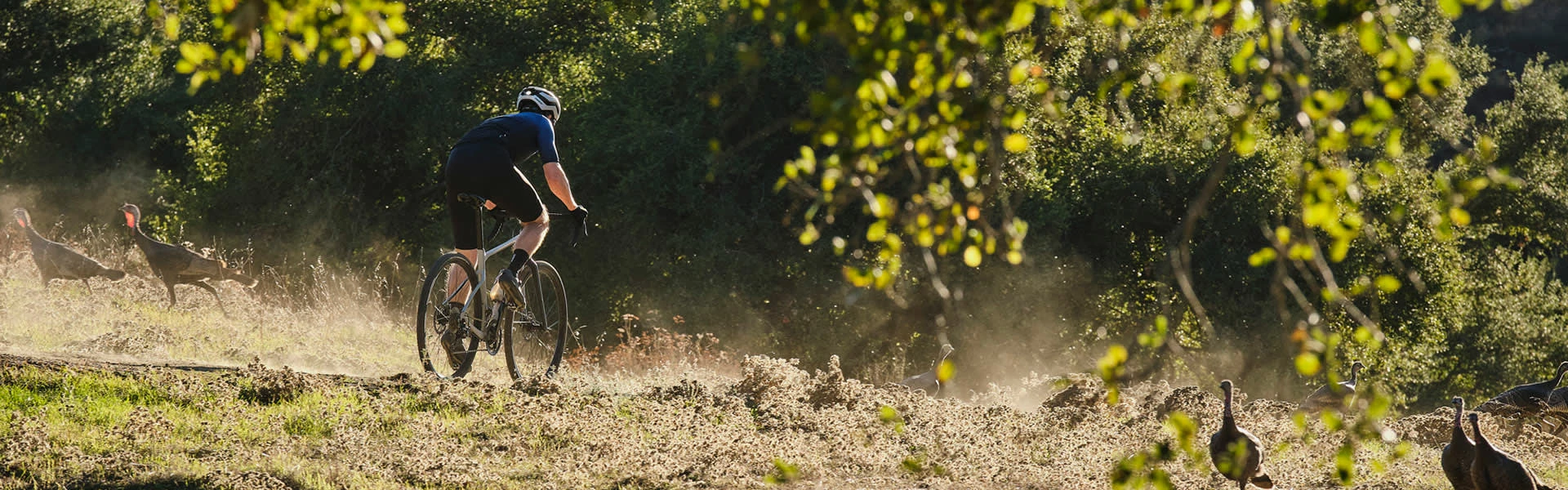 Outlet Fahrradschläuche Store -Outlet Fahrradschläuche Store giant gravel banner navi21