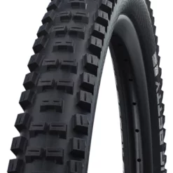 Schwalbe Big Betty Performance MTB Reifen